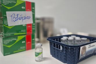 Administração oportuna do soro antiveneno é fundamental para reduzir gravidade dos casos e evitar mortes (Foto: SES-GO)