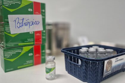 Administração oportuna do soro antiveneno é fundamental para reduzir gravidade dos casos e evitar mortes (Foto: SES-GO)