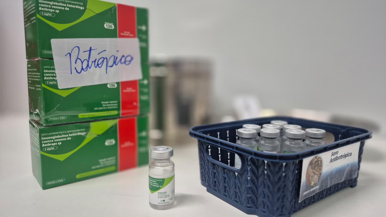 Administração oportuna do soro antiveneno é fundamental para reduzir gravidade dos casos e evitar mortes (Foto: SES-GO)