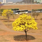 © José Cruz/Agência Brasil