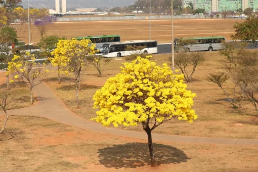 © José Cruz/Agência Brasil